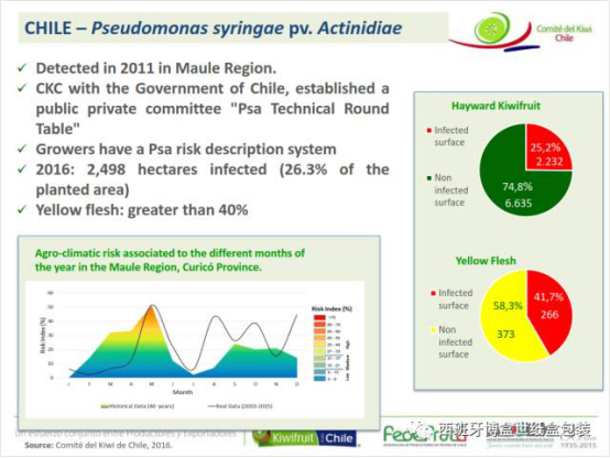 與本真同行，探尋智利獼猴桃產(chǎn)業(yè)發(fā)展現(xiàn)狀1694.png